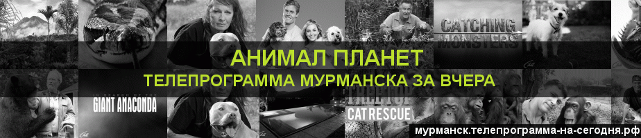 Телепрограмма за вчера канала Анимал Планет, Мурманск