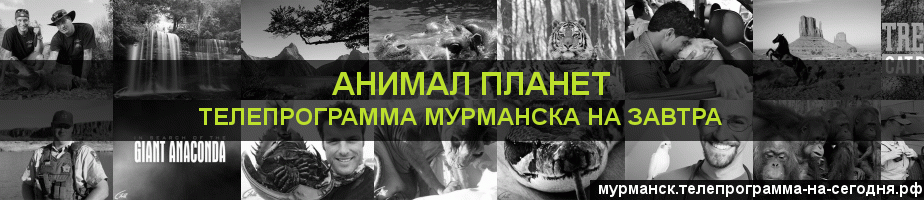 Телепрограмма на завтра канала Анимал Планет, Мурманск