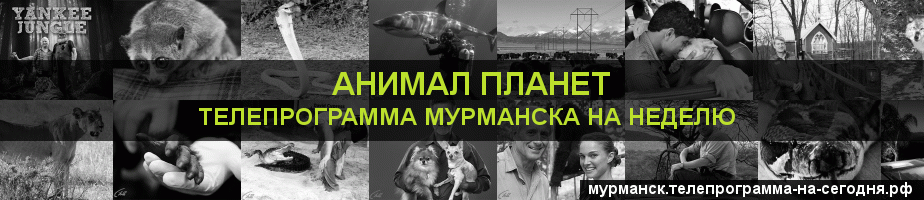 Телепрограмма на неделю канала Анимал Планет, Мурманск